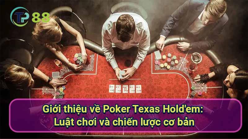 gioi-thieu-ve-poker-texas-hold'em:-luat-choi-va-chien-luoc-co-ban