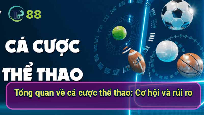 tong-quan-ve-ca-cuoc-the-thao:-co-hoi-va-rui-ro