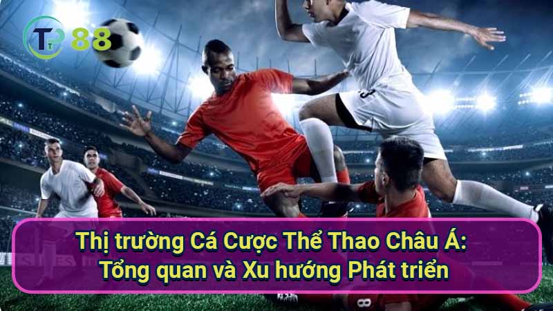 thi-truong-ca-cuoc-the-thao-chau-a:-tong-quan-va-xu-huong-phat-trien