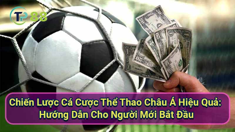 chien-luoc-ca-cuoc-the-thao-chau-a-hieu-qua:-huong-dan-cho-nguoi-moi-bat-dau