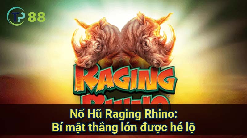 no-hu-raging-rhino